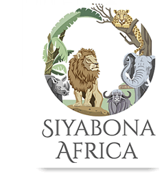 http://madikwe.safari.co.za
