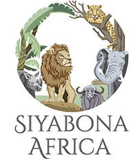 http://madikwe.safari.co.za