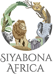 http://madikwe.safari.co.za